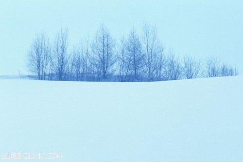 冰雪摄影技巧大分析2