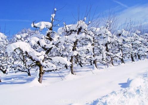 雪地拍摄必须要知道的技巧2