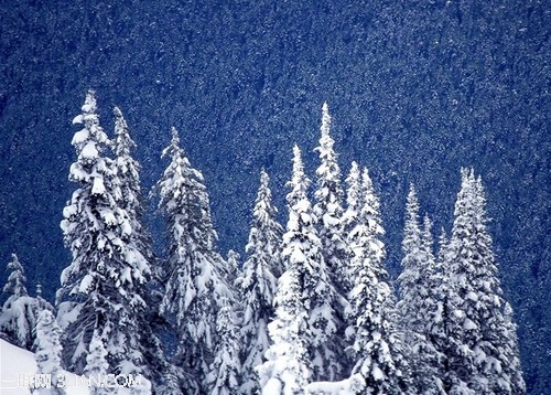 冰雪摄影技巧大分析3