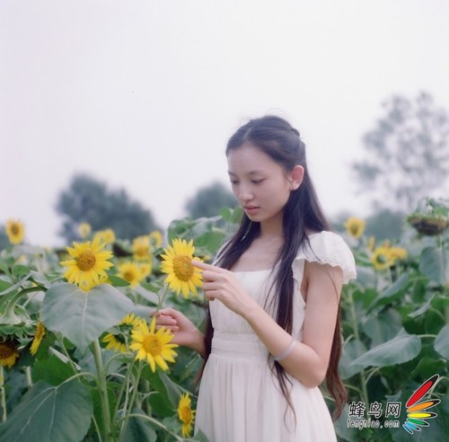 “代码女神”拍出清新脱俗少女人像8