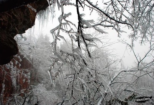 学习各种冰雪景观的拍摄技术11