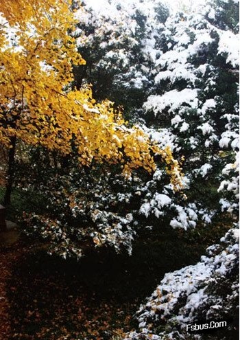 学习各种冰雪景观的拍摄技术10