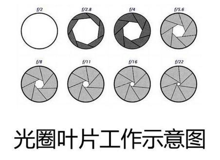 摄影初学者常识大全1