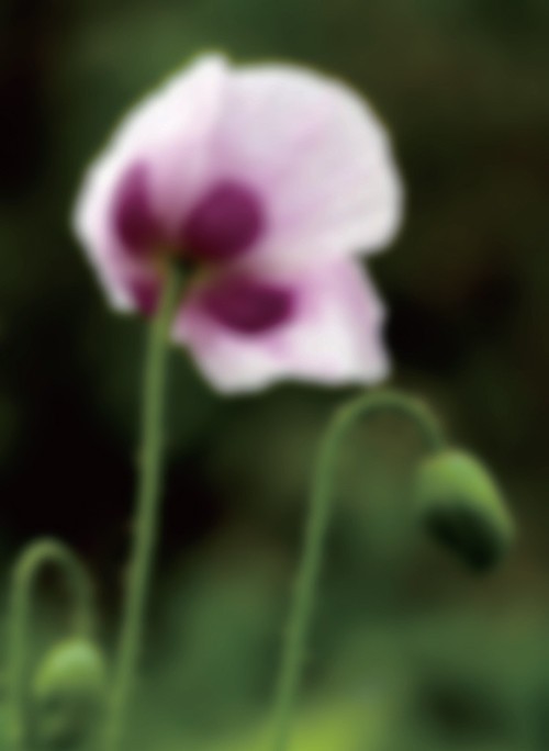 利用5D Mark III多重曝光拍摄出蒙太奇画面8