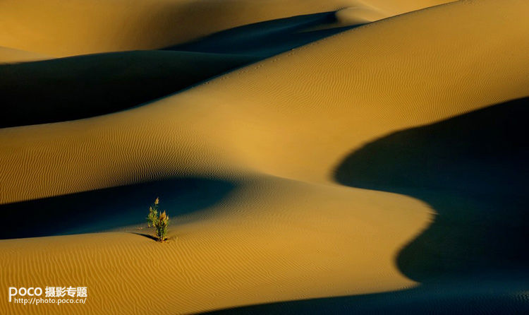 如何拍内蒙古美景10