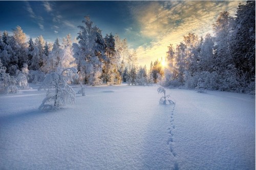 名师谈冬日雪景拍摄经典教程7