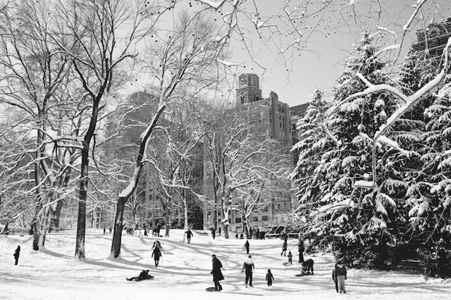 作品赏析：纽约中央公园黑白雪景2