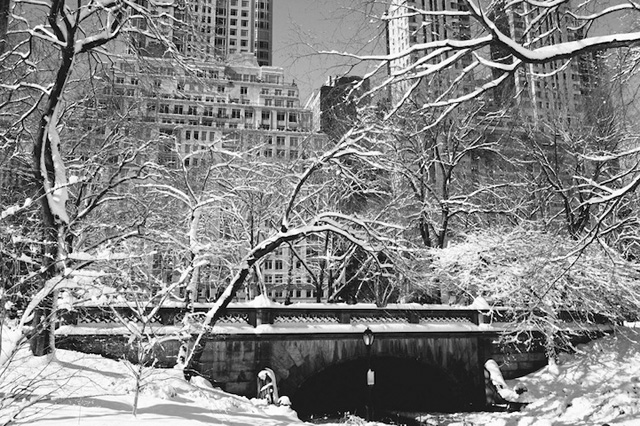 作品赏析：纽约中央公园黑白雪景4