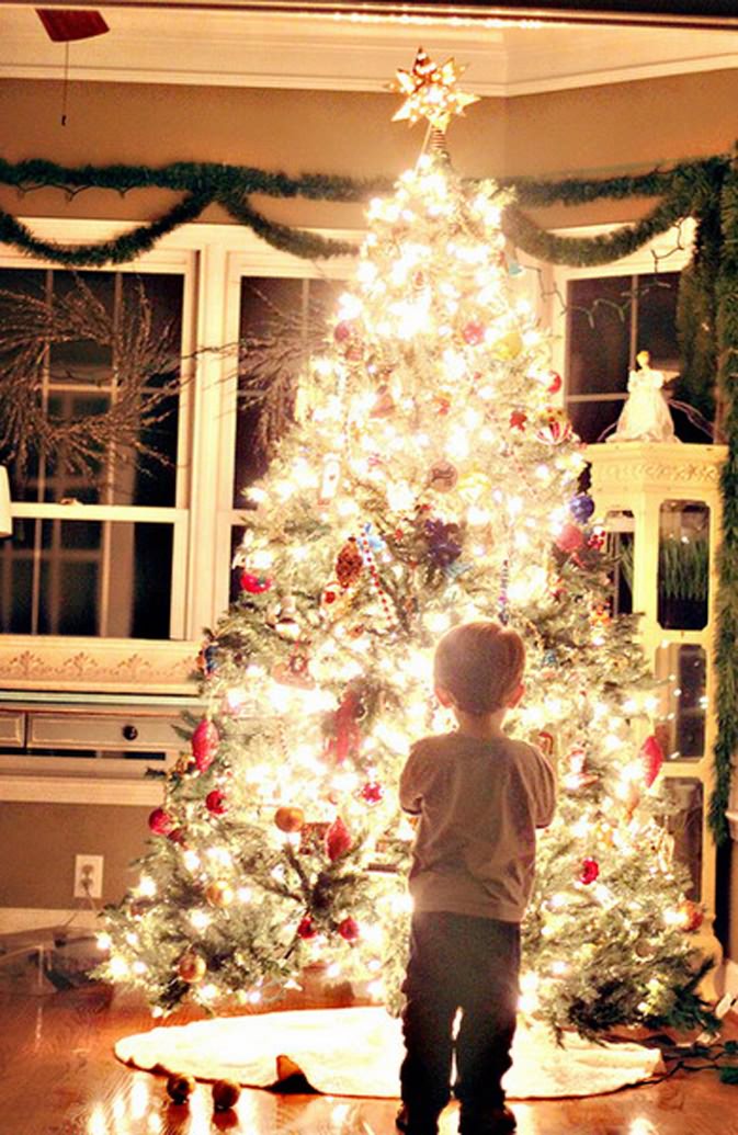 如何拍出闪闪发亮的圣诞树1