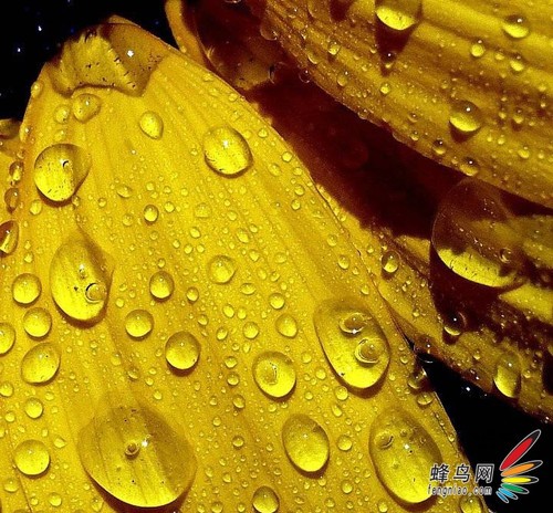 营造强烈视觉冲击 水滴拍摄技巧全攻略6