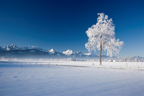 在雪地也能拍出好相片！4个小技巧教学！1