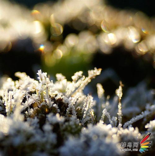 如何拍摄“雪中幻境” 雪景拍摄技巧全攻略6