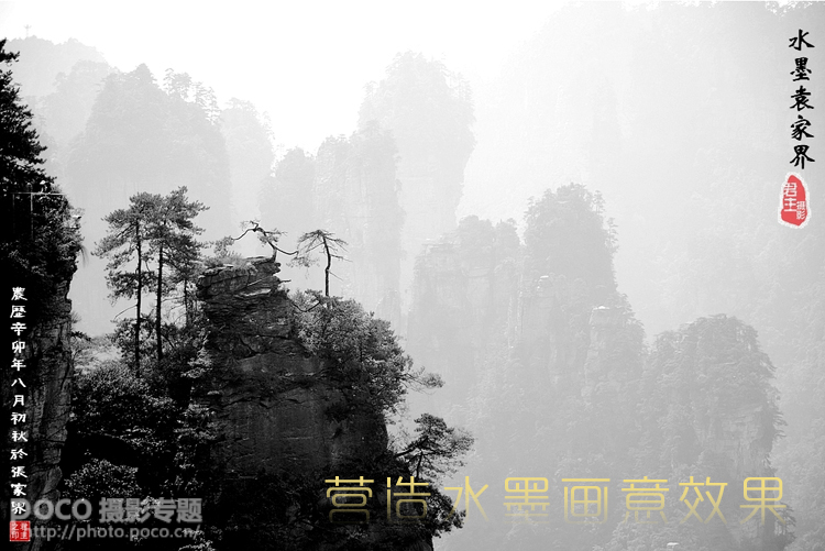 秋季雾天拍摄攻略 拍出迷雾幻境3