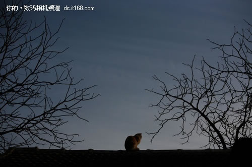 街拍摄影：提高摄影水平的有效途径11