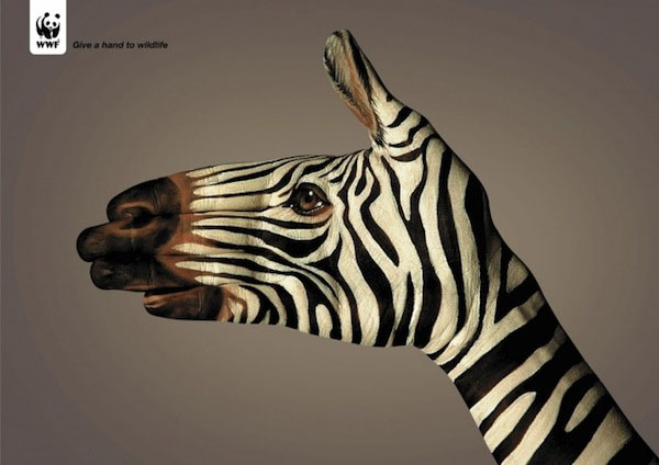14个保护动物的公益广告设计1