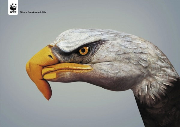 14个保护动物的公益广告设计3