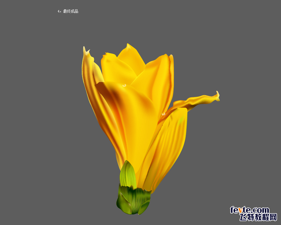AI CS6网格工具绘制逼真写实花朵4