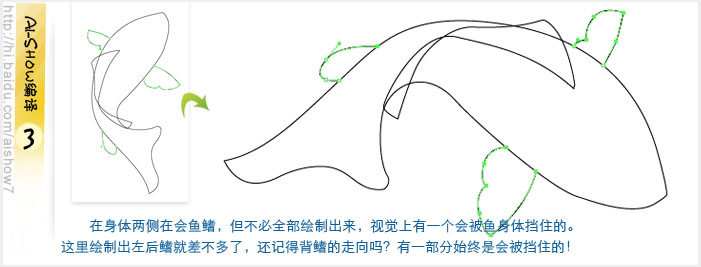 AI设计制作逼真的双鲤鱼鼠绘教程实例介绍3
