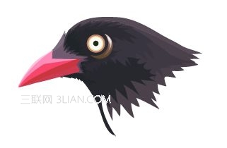 Illustrator使用色阶画法绘制鸟的插画13