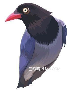 Illustrator使用色阶画法绘制鸟的插画18