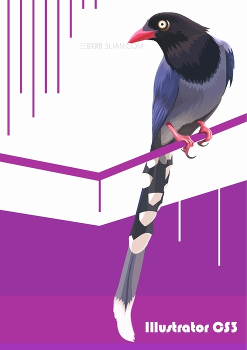 Illustrator使用色阶画法绘制鸟的插画1