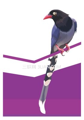 Illustrator使用色阶画法绘制鸟的插画27
