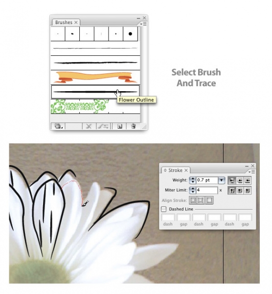 AI模仿真实花朵绘制出具有水彩矢量效果的花卉图5