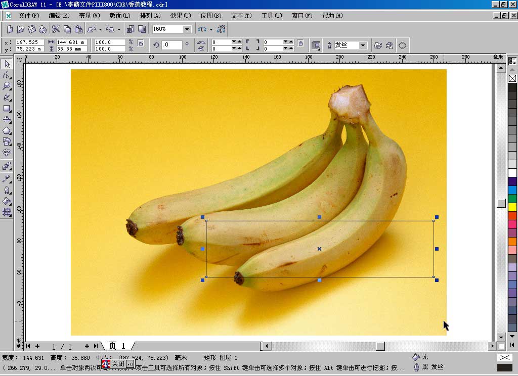 coreldraw绘制香蕉教程1