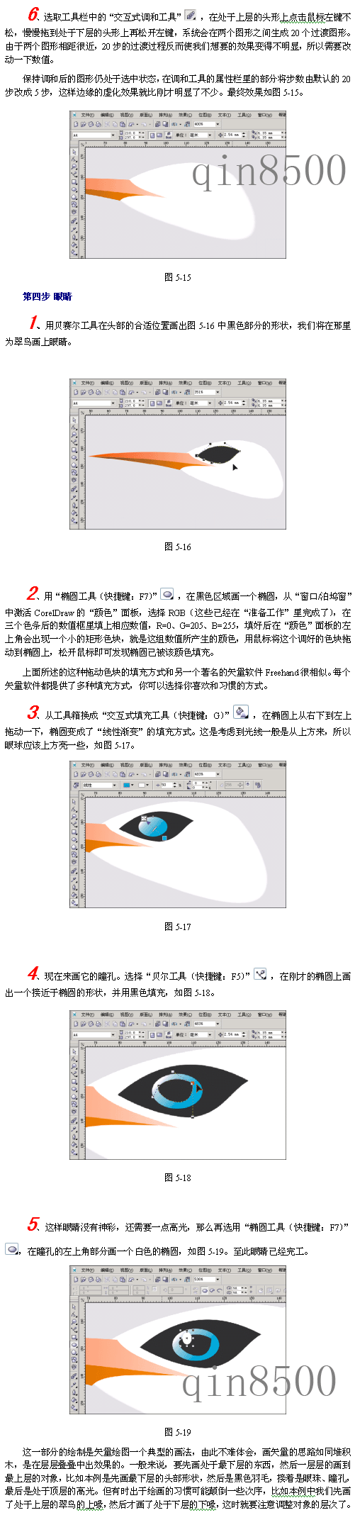 CDR模仿绘制出逼真的翠鸟实例教程2