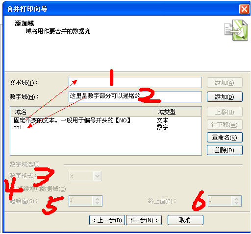 CDRx4自动编号（合并打印）介绍4