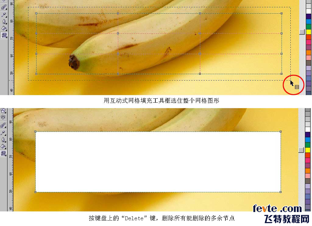 CDR网格工具制作逼真香蕉教程5