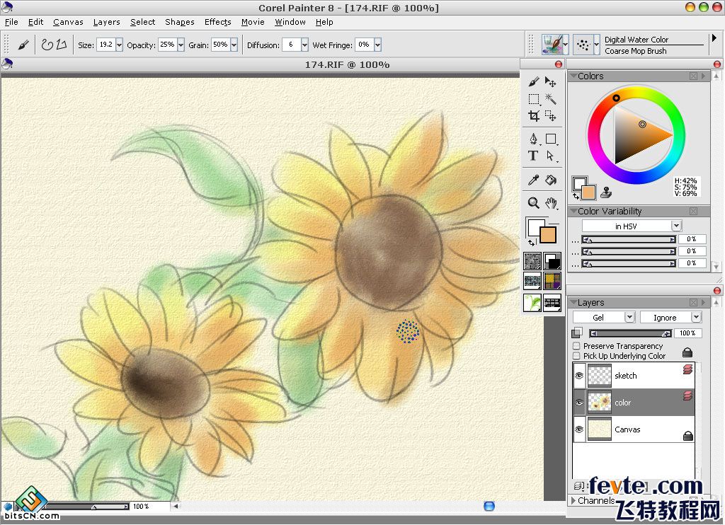 教你用painter绘制水彩油画双重效果的向日葵插画8