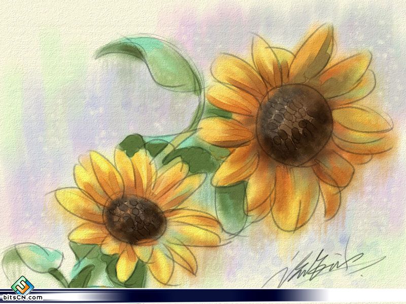教你用painter绘制水彩油画双重效果的向日葵插画1
