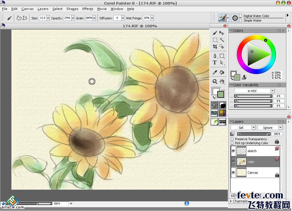 教你用painter绘制水彩油画双重效果的向日葵插画9