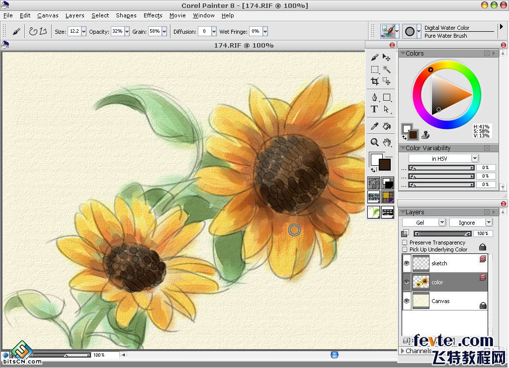 教你用painter绘制水彩油画双重效果的向日葵插画10
