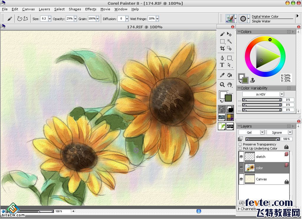 教你用painter绘制水彩油画双重效果的向日葵插画12