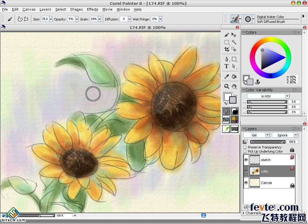教你用painter绘制水彩油画双重效果的向日葵插画11