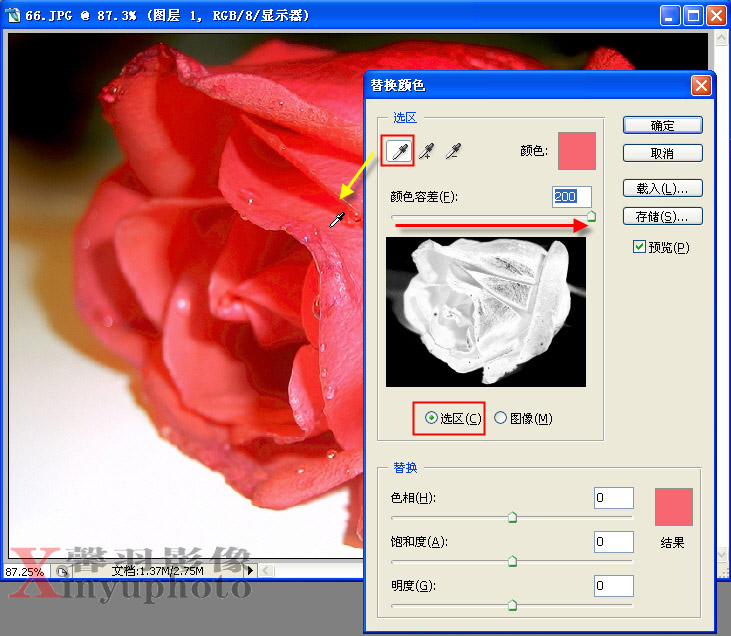 利用PhotoShop将红玫瑰变成蓝色玫瑰4