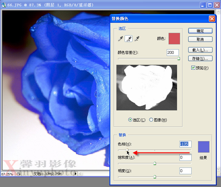 利用PhotoShop将红玫瑰变成蓝色玫瑰6