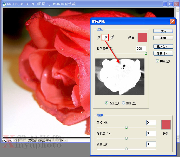 利用PhotoShop将红玫瑰变成蓝色玫瑰5