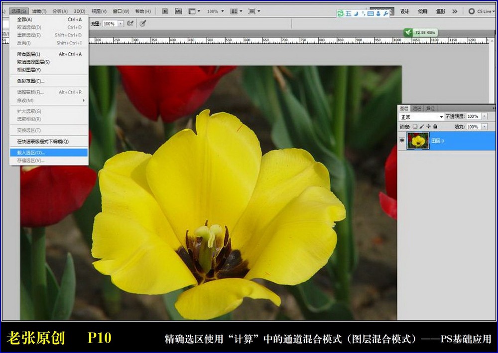 Photoshop通过计算命令改变花的颜色实例教程7