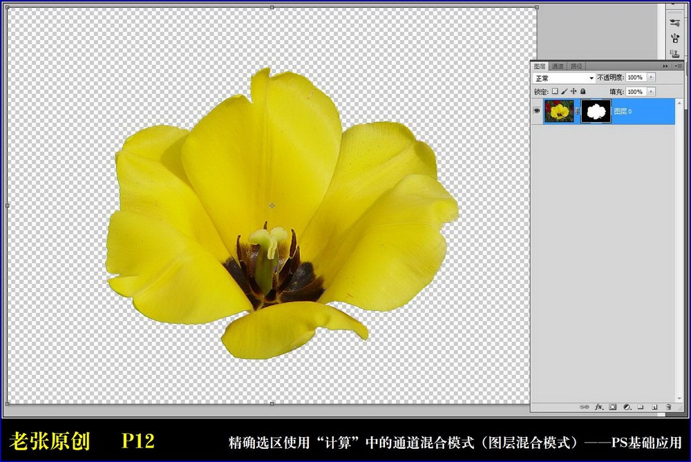 Photoshop通过计算命令改变花的颜色实例教程9
