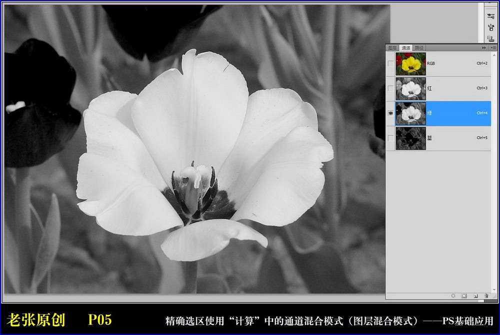Photoshop通过计算命令改变花的颜色实例教程4