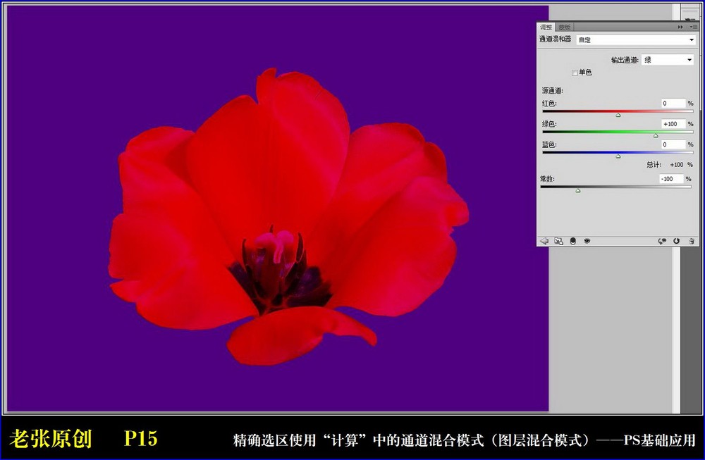 Photoshop通过计算命令改变花的颜色实例教程11