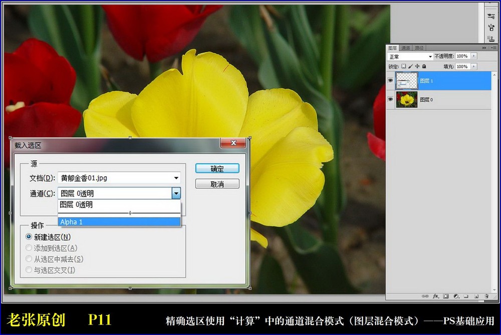 Photoshop通过计算命令改变花的颜色实例教程8