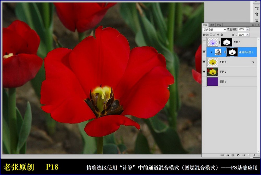 Photoshop通过计算命令改变花的颜色实例教程14
