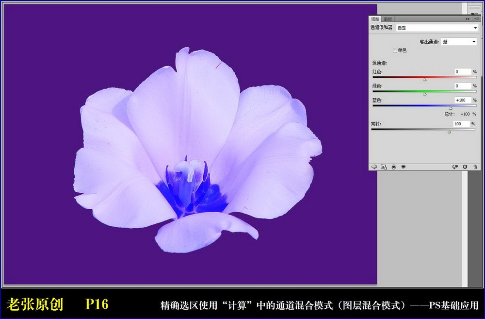 Photoshop通过计算命令改变花的颜色实例教程12