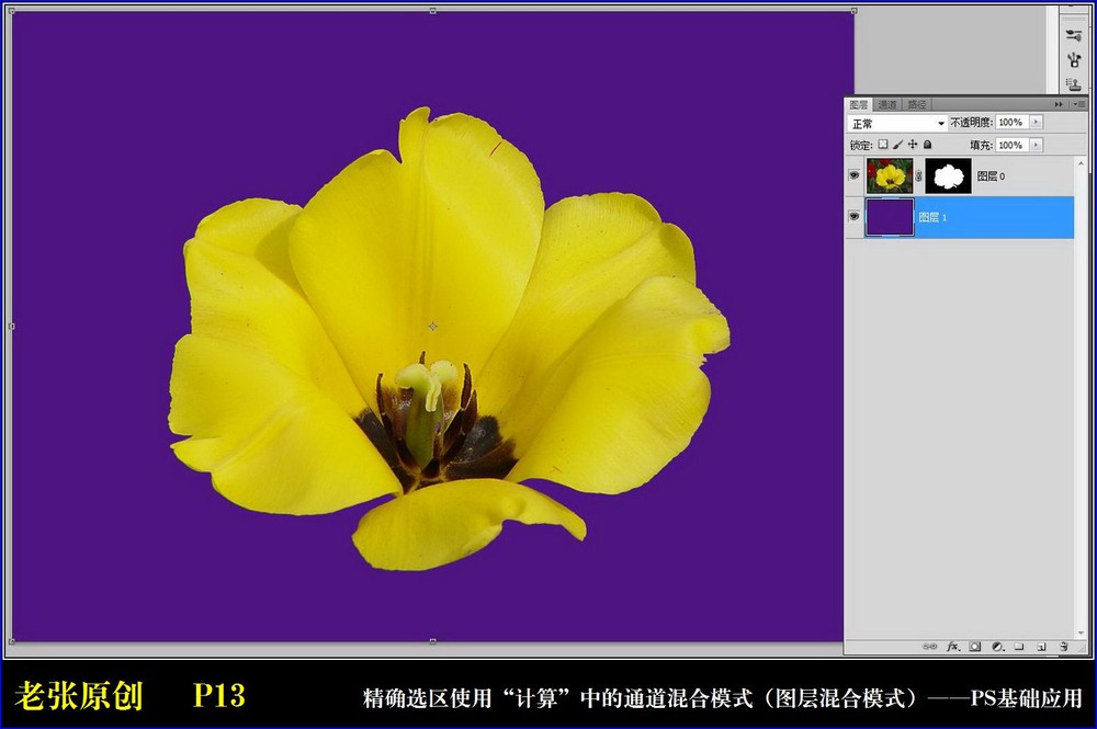 Photoshop通过计算命令改变花的颜色实例教程10