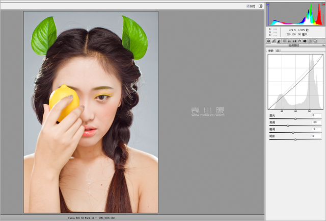 在Photoshop中打造水果妆面的人像图片后期5