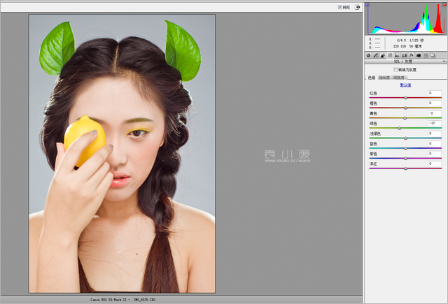 在Photoshop中打造水果妆面的人像图片后期4